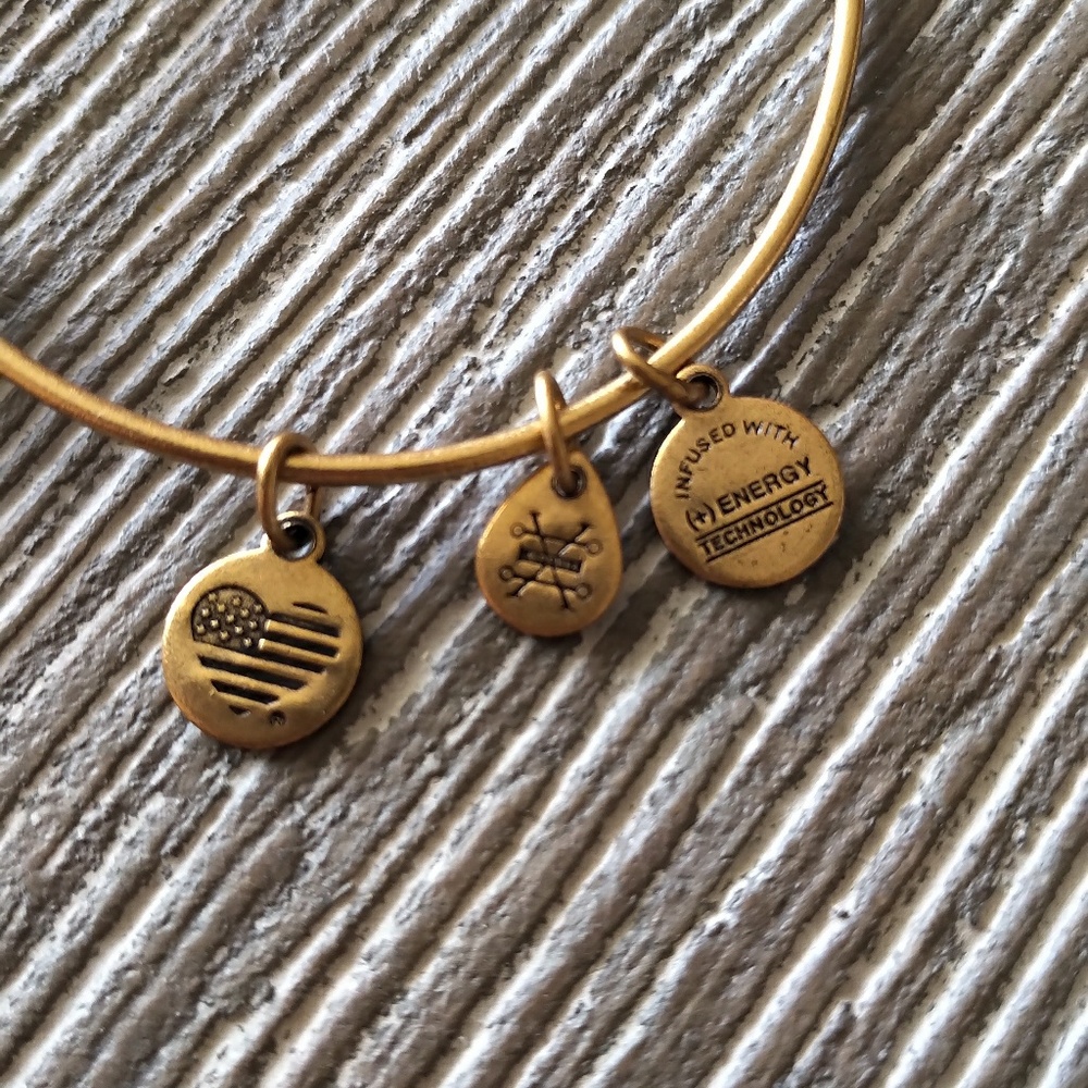 Alex and Ani Sphinx Charm Bracelet - Picture 6 of 7